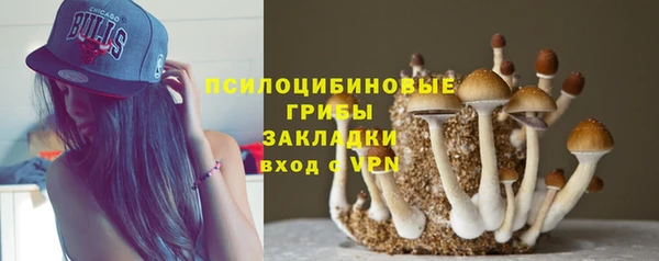 прущие грибы Володарск
