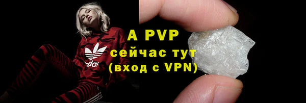 прущие грибы Володарск