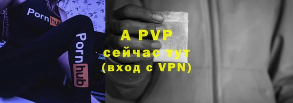 прущие грибы Володарск
