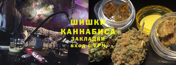 прущие грибы Володарск