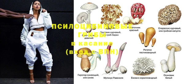 прущие грибы Володарск