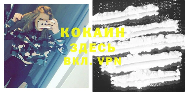прущие грибы Володарск
