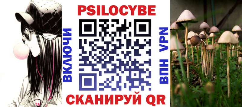 Купить закладки  Лыткарино  Псилоцибиновые грибы Psilocybe 