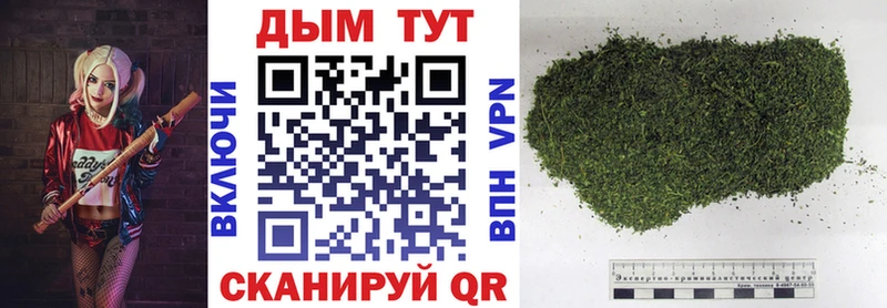 Шишки марихуана ГИДРОПОН  Купить где  Лыткарино 